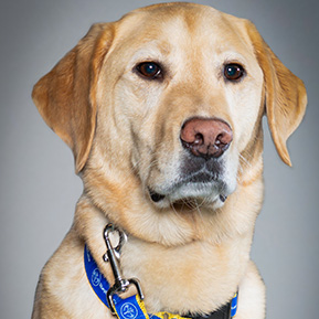 Headshot of Colin